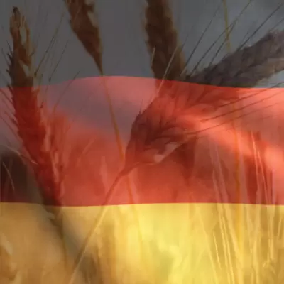 German Wheat